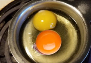 Egg Yolk